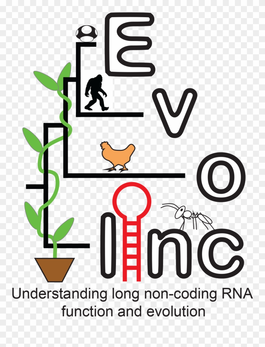 And Rock Climbing Throughout The Southwest Clipart