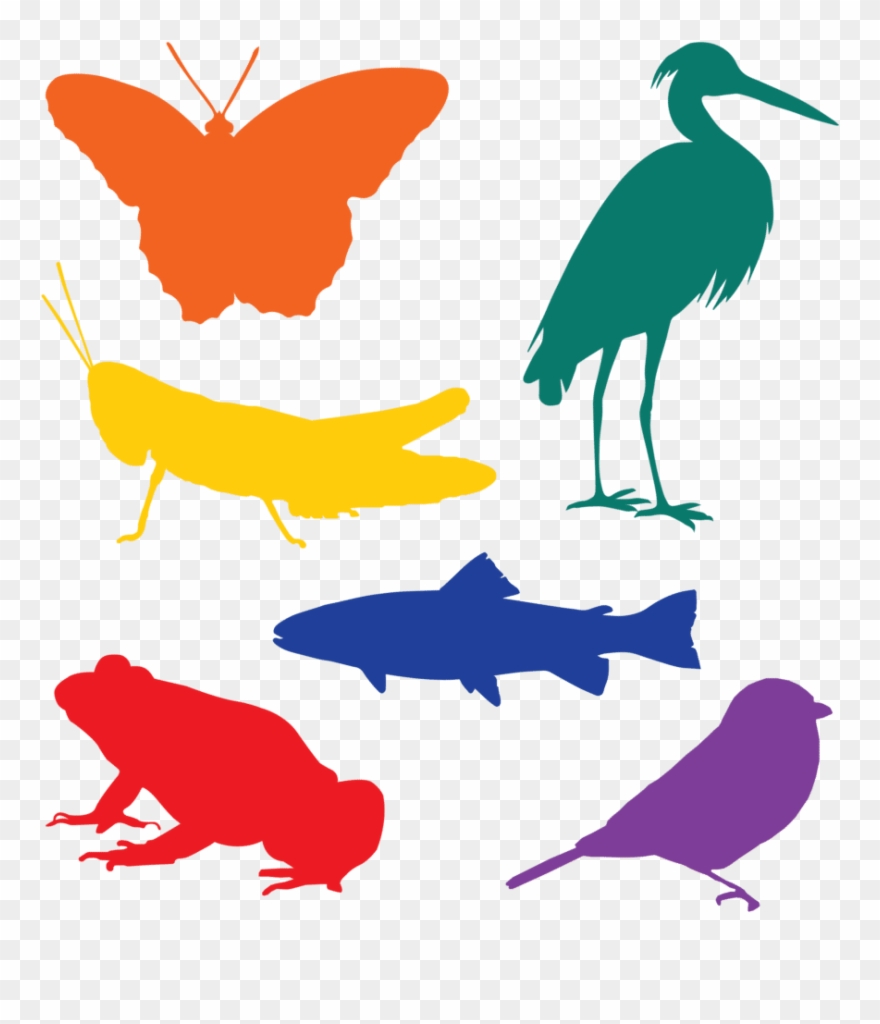 The Stormwater That Residents Of This Neighborhood Clipart