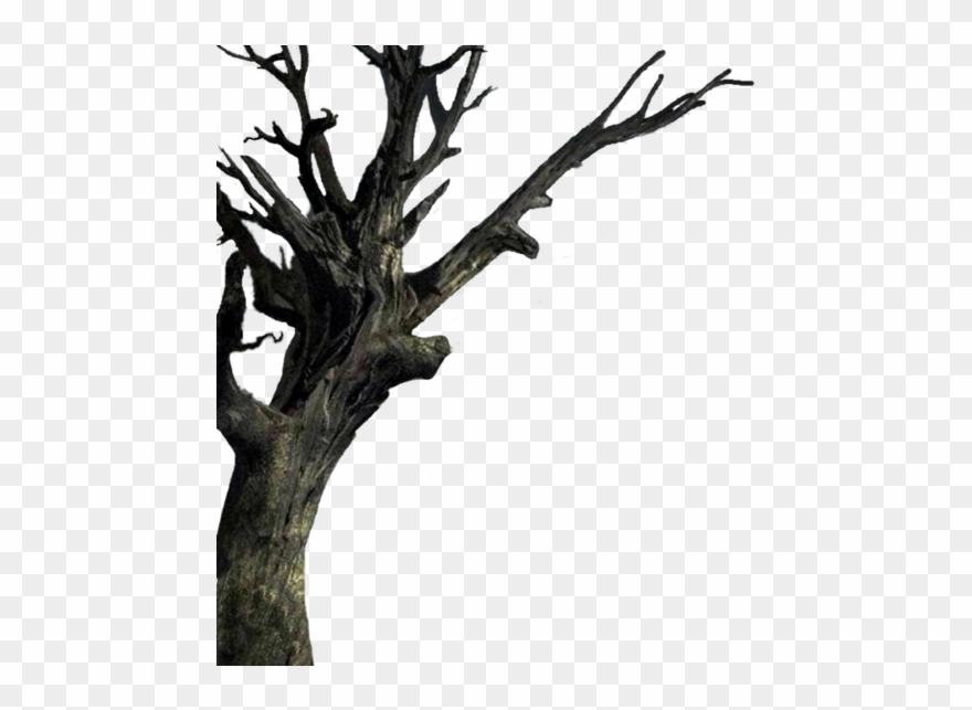 Haunted House Clipart Twig Haunted House Tree - Png Download
