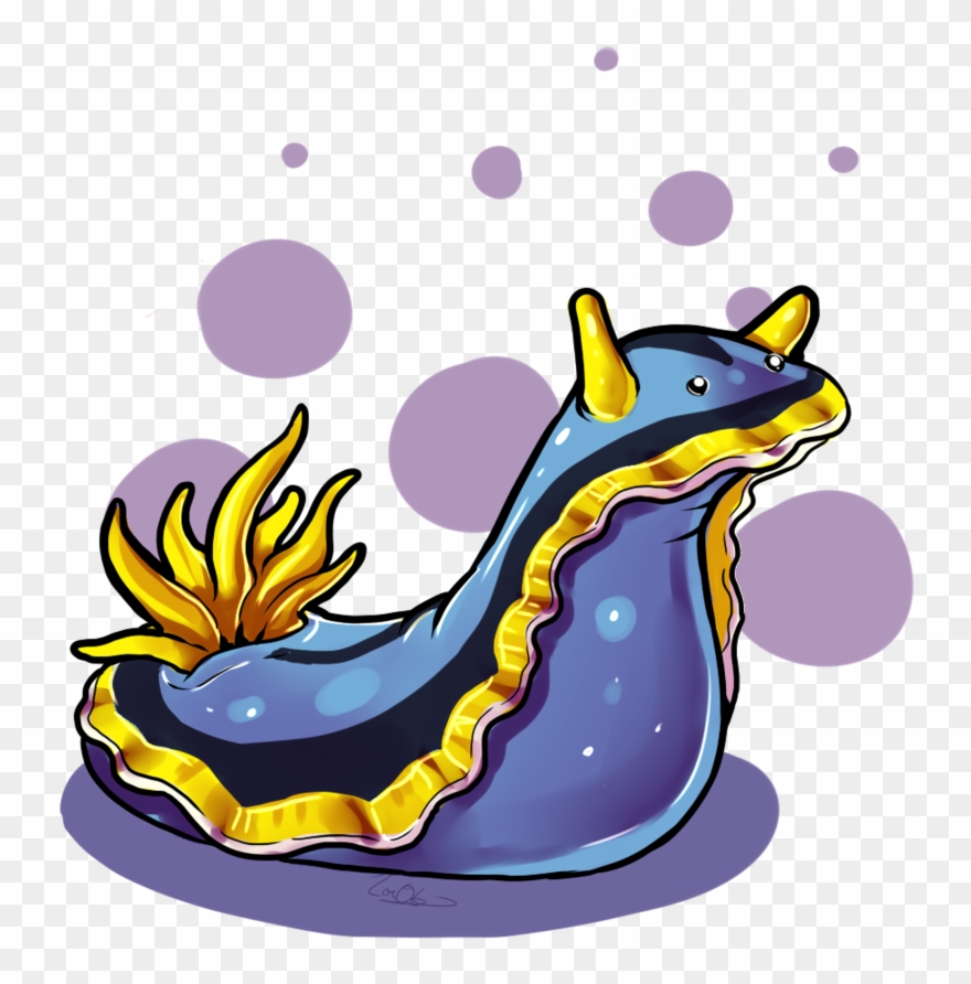 Nudibranch For Oniendra By Electrical Socket Clipart