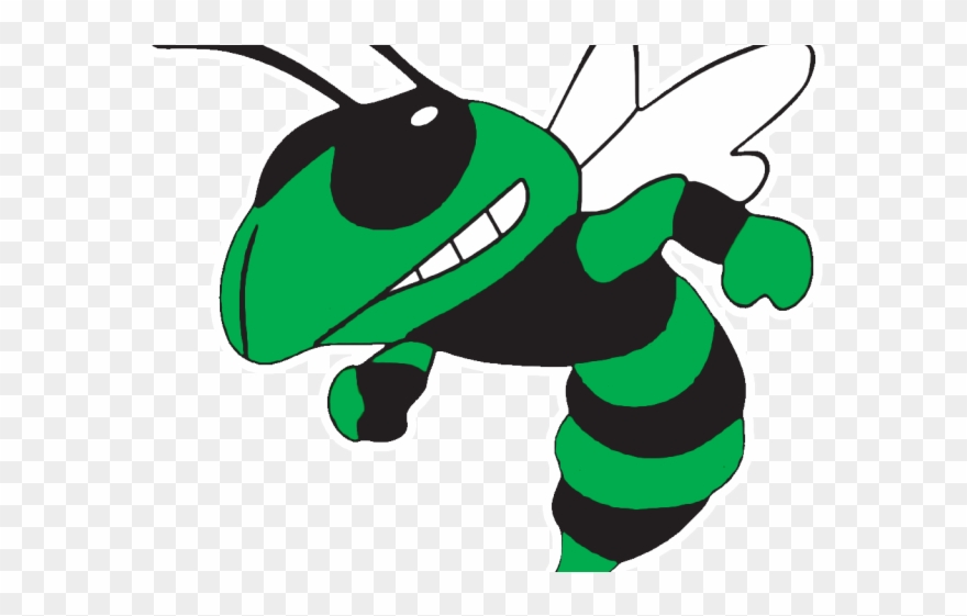 Hornet Clipart Albany - Png Download