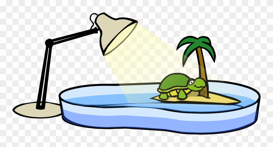 Turtle Bowl Clipart