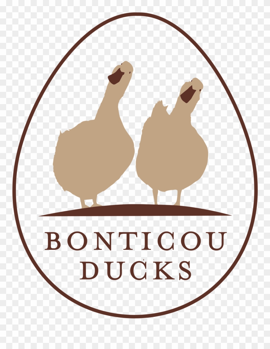 Bonticou Ducks Llc Clipart
