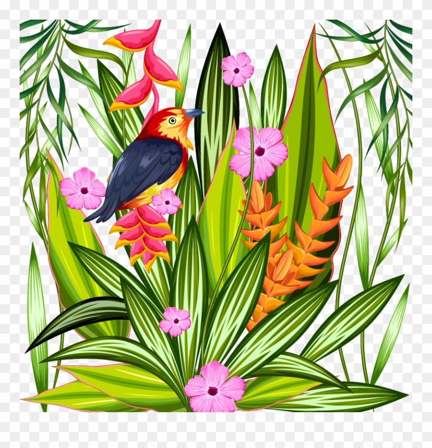 Parrot Tropics Tropical Illustration Material Transprent Clipart