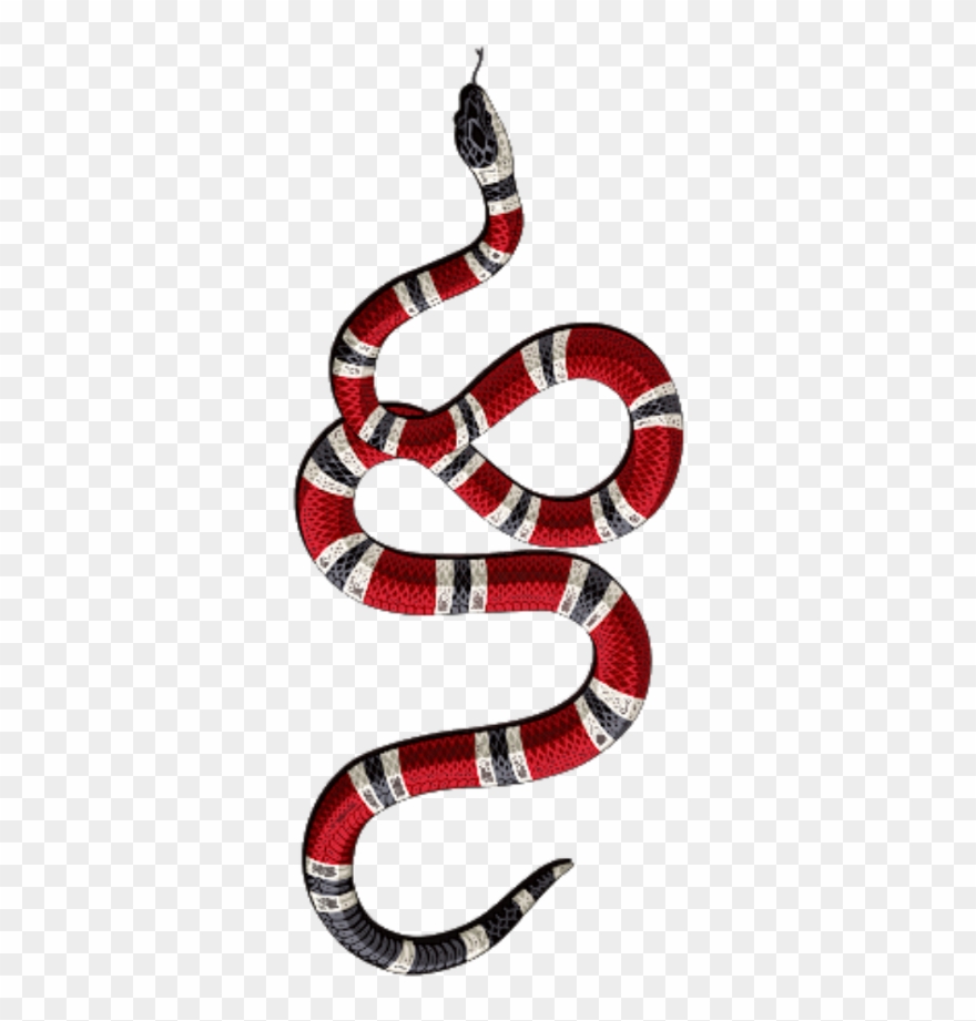Gucci Guccisnake Supreme Hit Top Make Super Antisocial Clipart