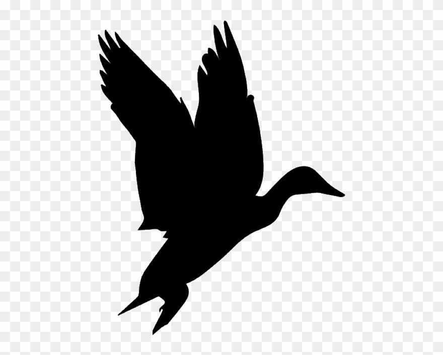 Hunter Vector Pheasant Hunting Clipart