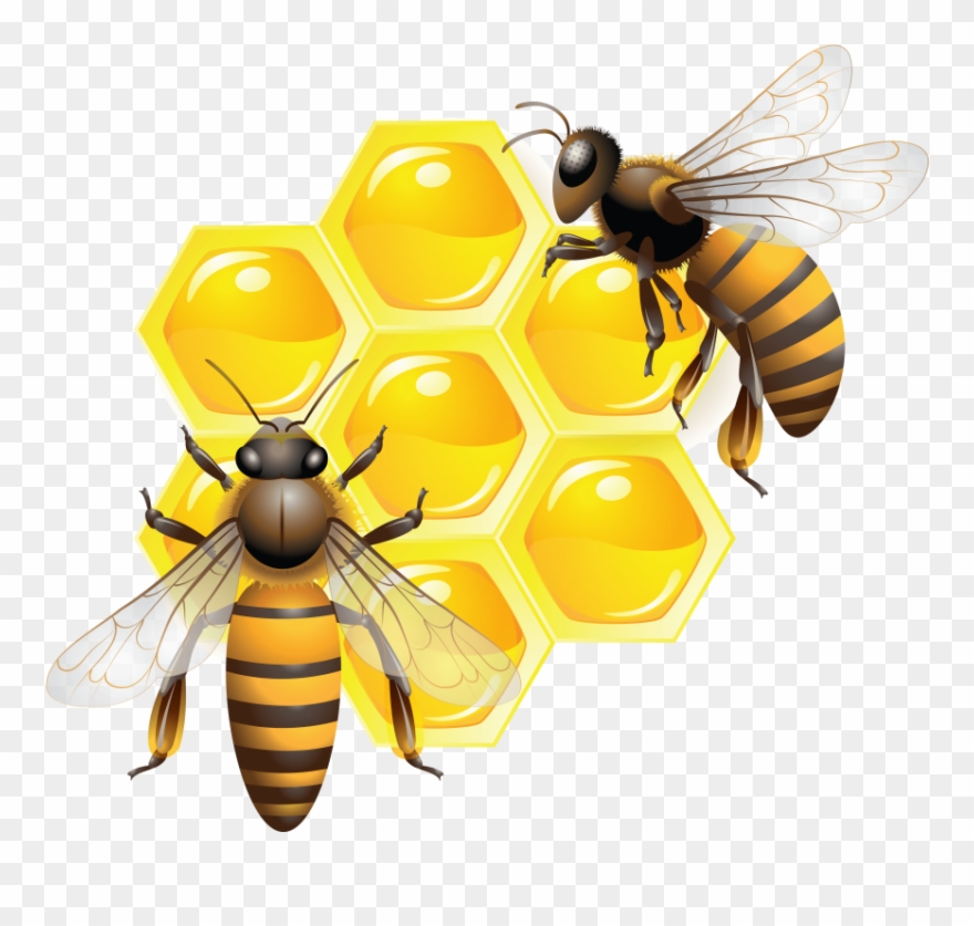 Free Png Download Honey Clipart Png Photo Png Images Transparent Png