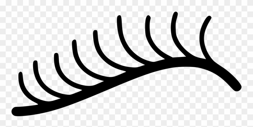 Eyelash Curler Comments Clipart