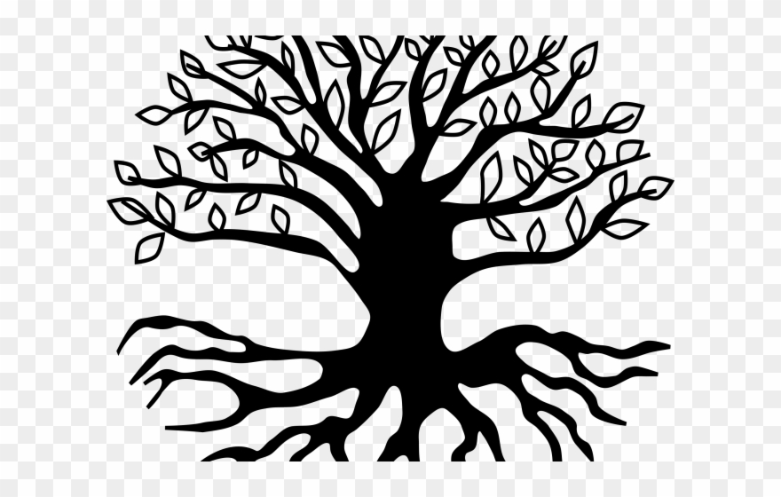 Roots Clipart Draw - Png Download