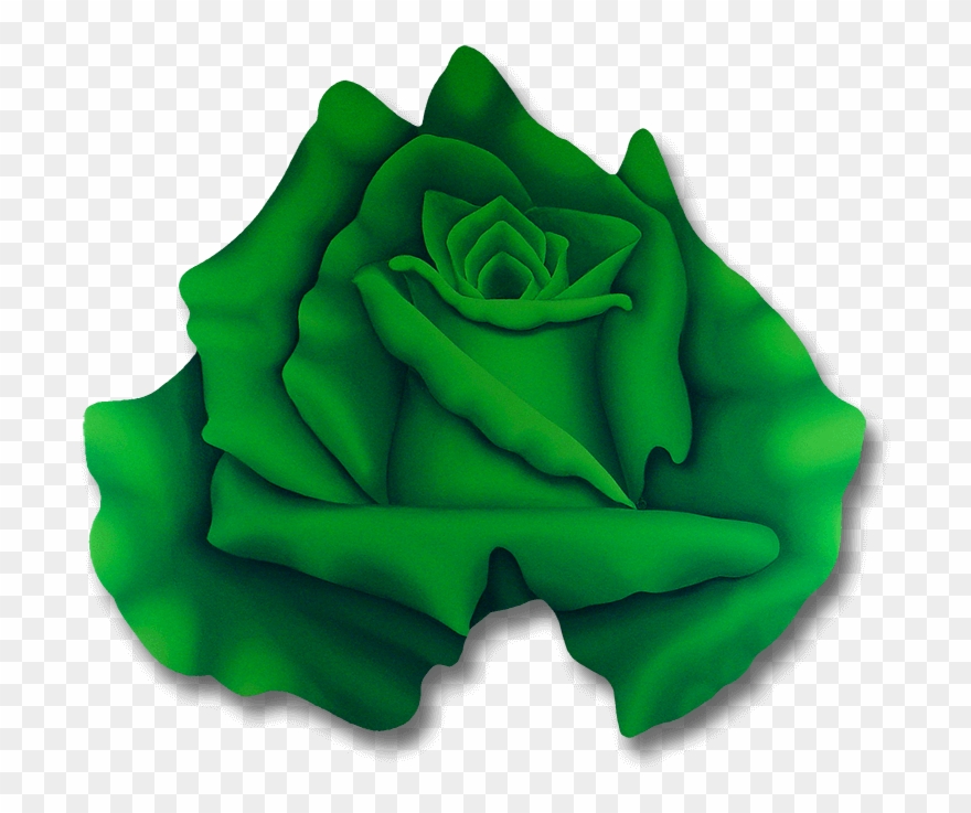 Wild Irish Rose Clipart