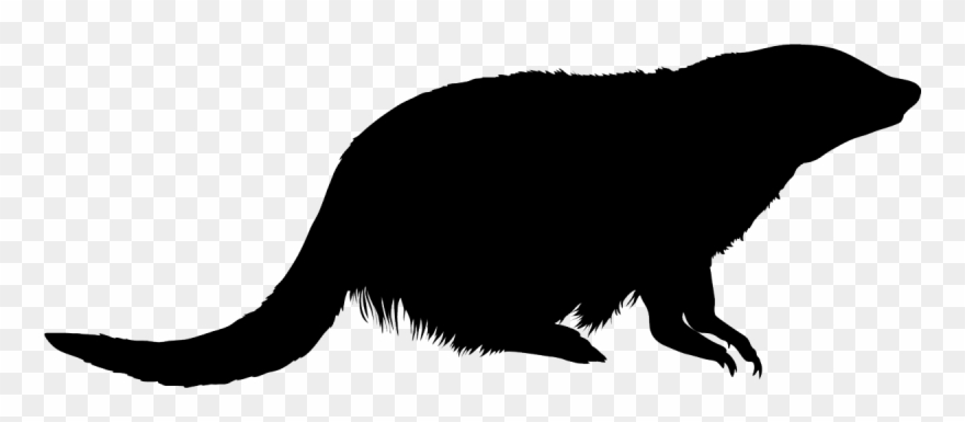 Mongoose Black Silhouette Clipart