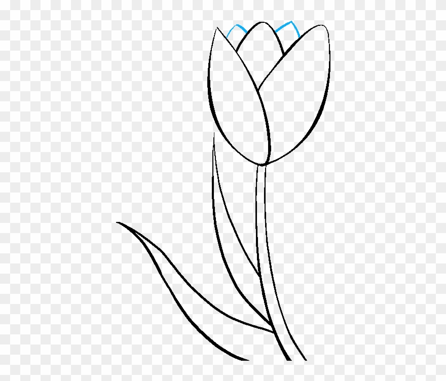 How To Draw Tulip Clipart