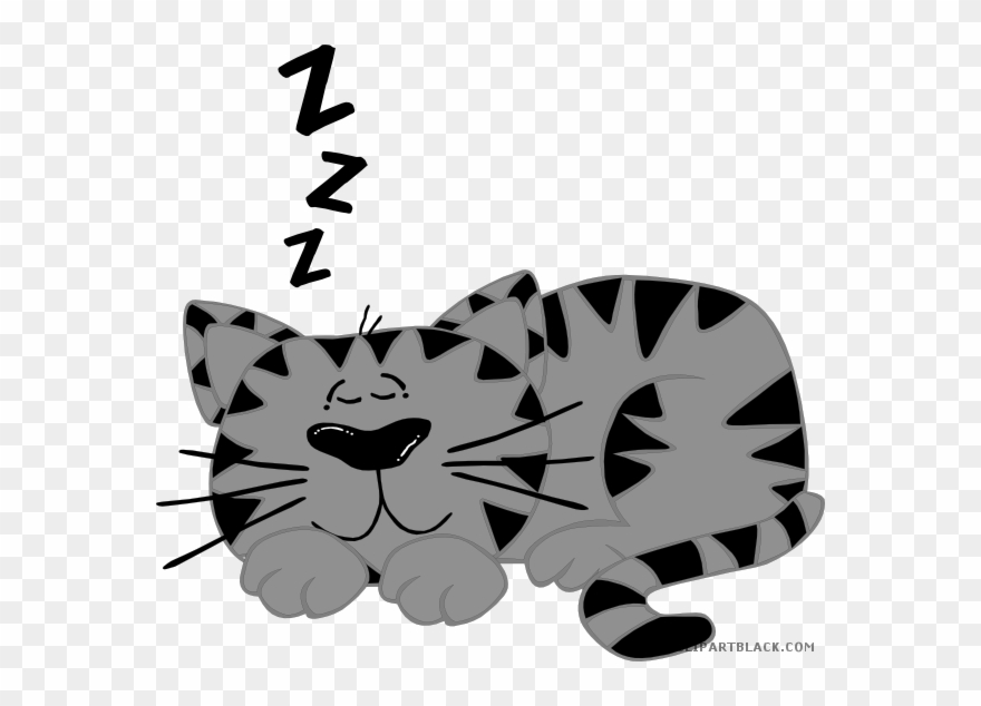 Royalty Free Library Cat Sleeping Clipart - Png Download