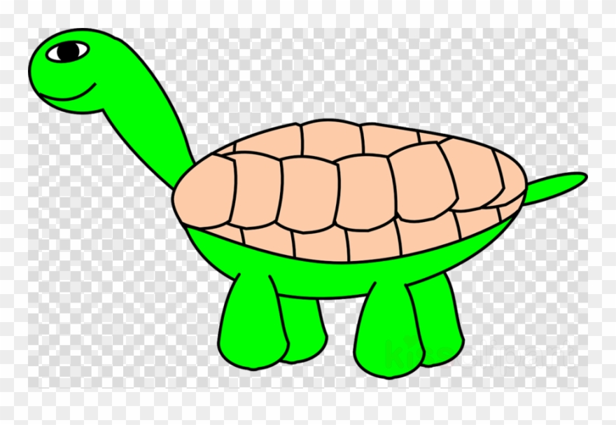 Cartoon Turtle Clipart Tortoise Turtle Reptile - Png Download