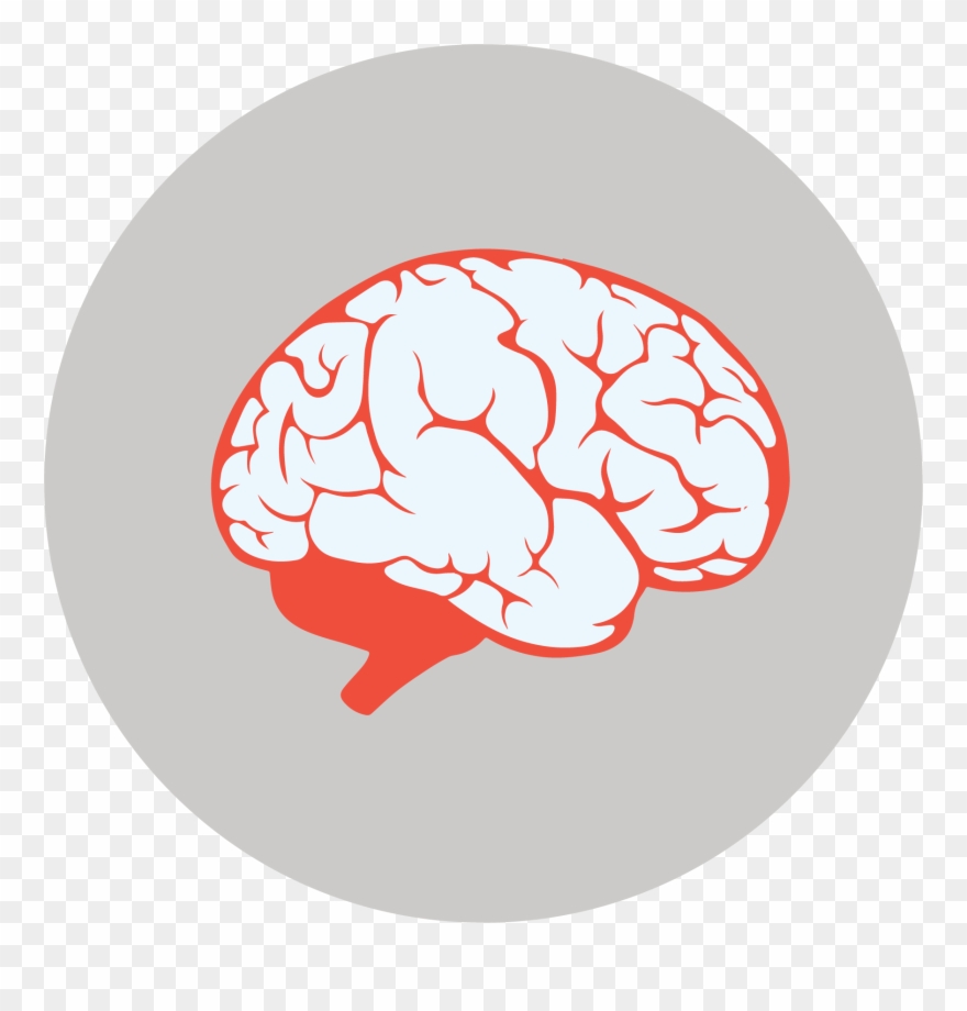 Preventing The Summer Brain Drain Clipart