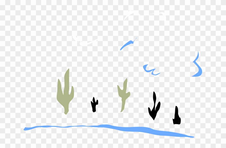 I Use The Observational Study Of Movement As My Fundamental Clipart