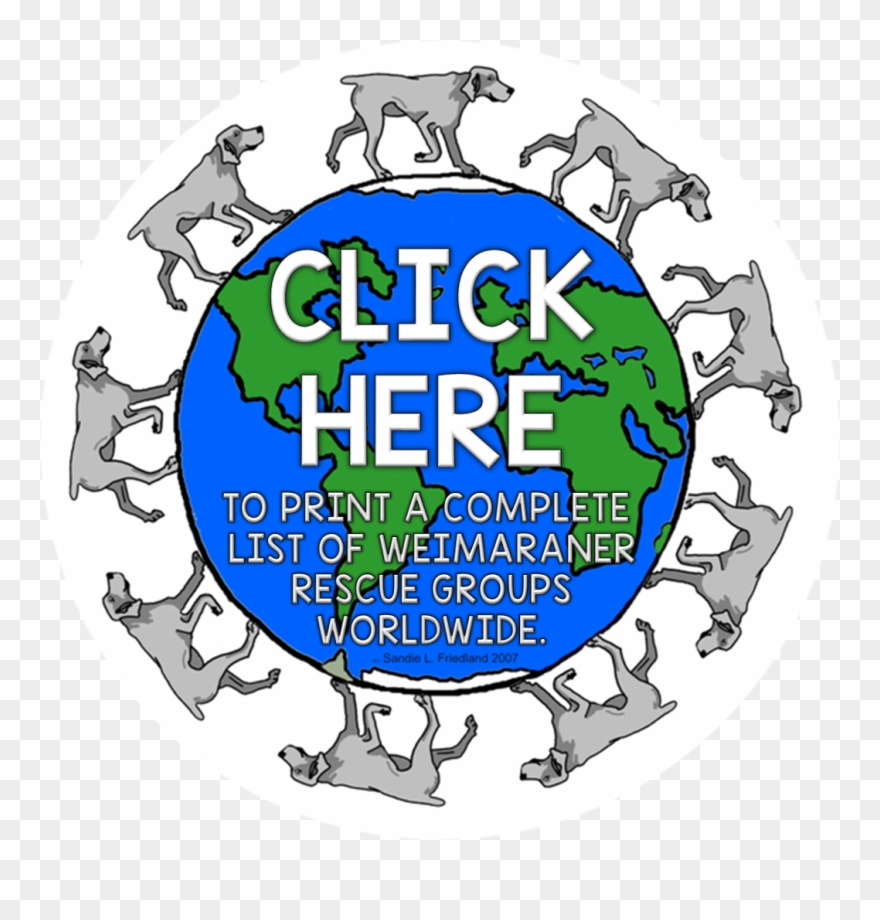 Click Here The Weimaraner Clipart