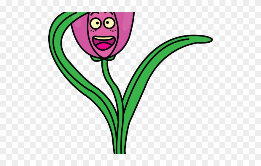 Drawn Tulip Cute Clipart
