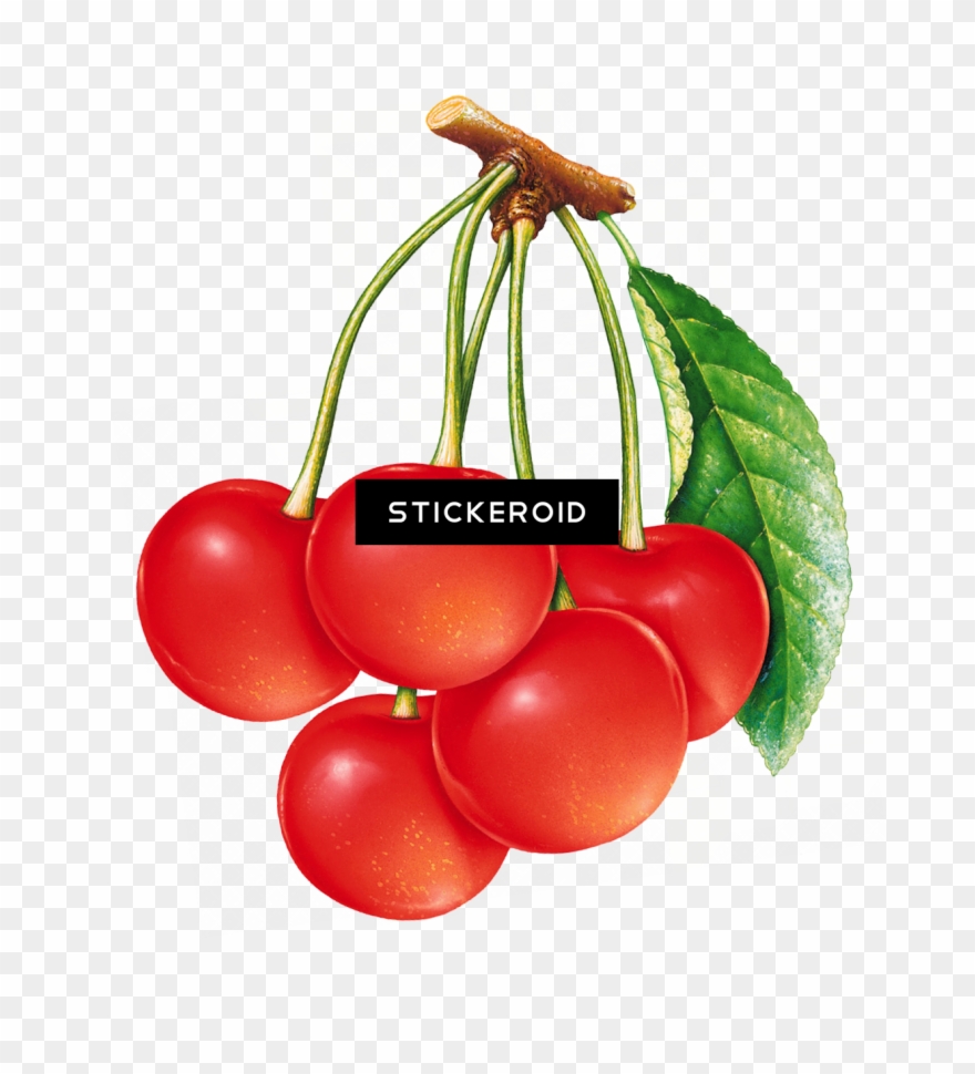 Cherries Cherry Fruits Nuts Clipart