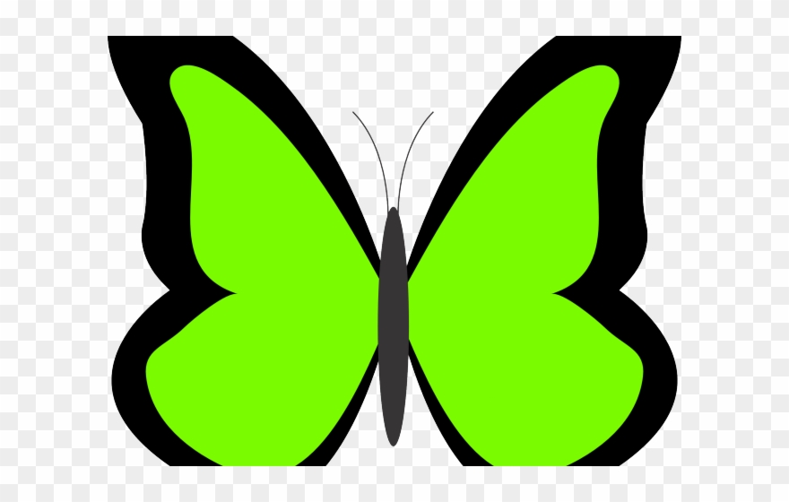 Panda Clipart Butterfly - Png Download