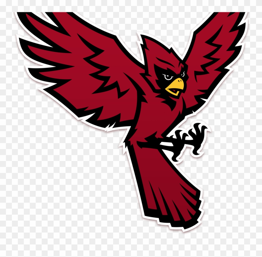 Raider Bird Full Body Clipart