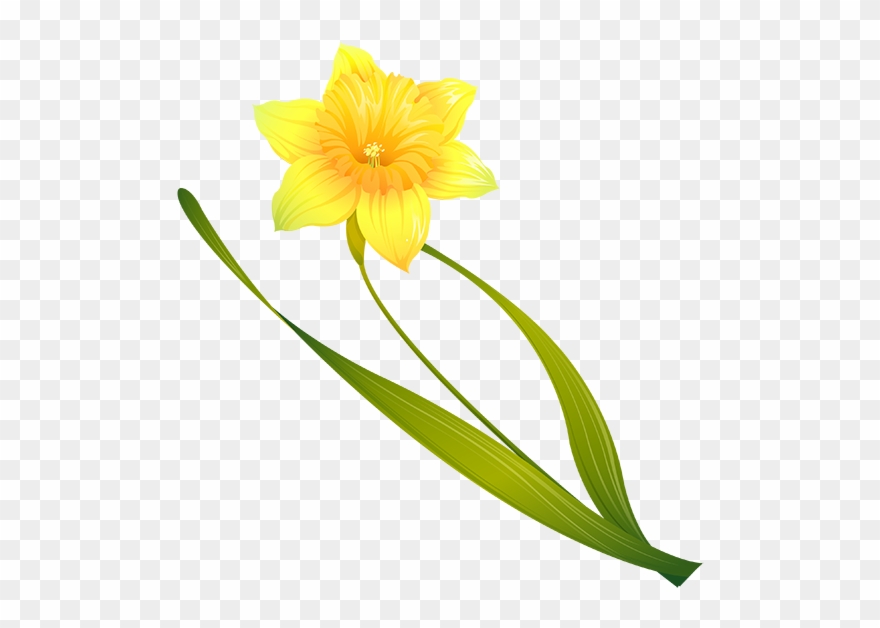 Tubes Fleurs Clipart