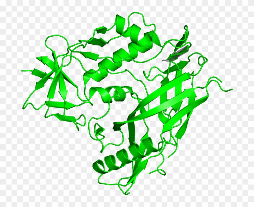 <div Class='caption-body'>1 Copy Of Cath Domain < Clipart