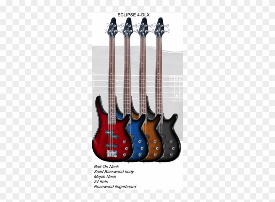 Palmer Bajo Eléctrico 4 Cuerdas Headstock Design Color Clipart