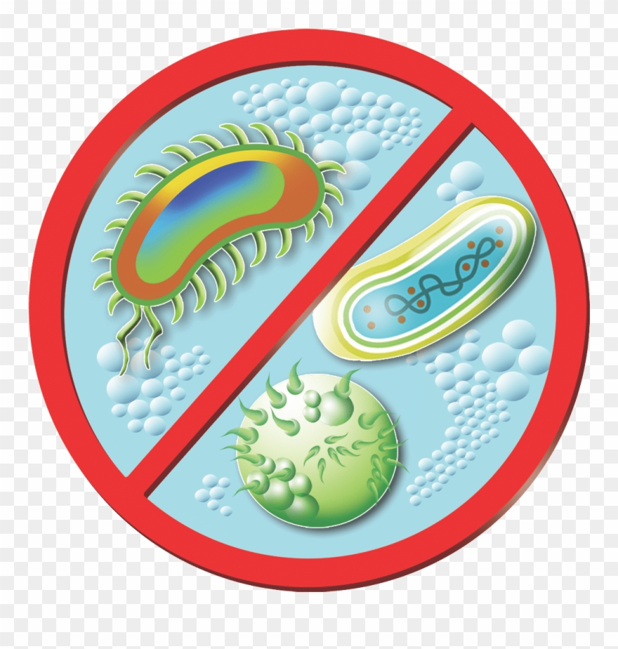 Area Rug Cleaning College Station Clipart