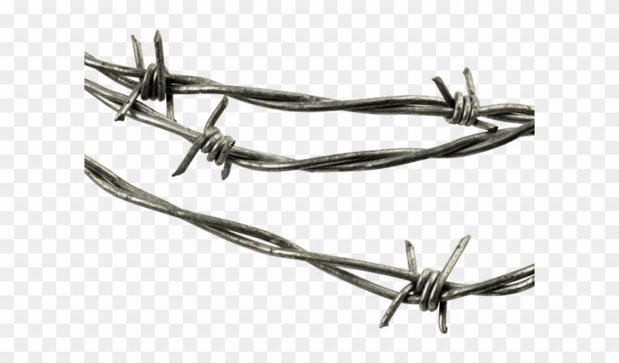 Barb Wire Clipart Alambre - Png Download