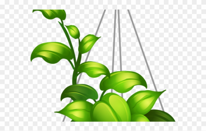 Flowerpots Clipart Flower Bed - Png Download