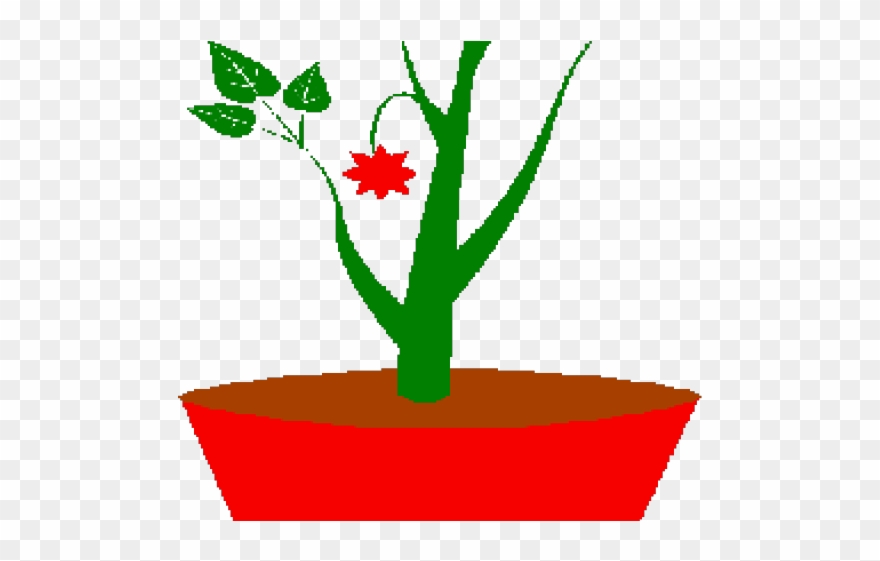 Pot Plant Clipart Planting - Png Download