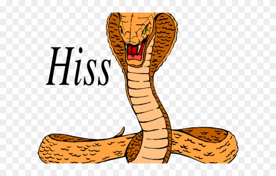 Cobra Clipart Anaconda - Png Download