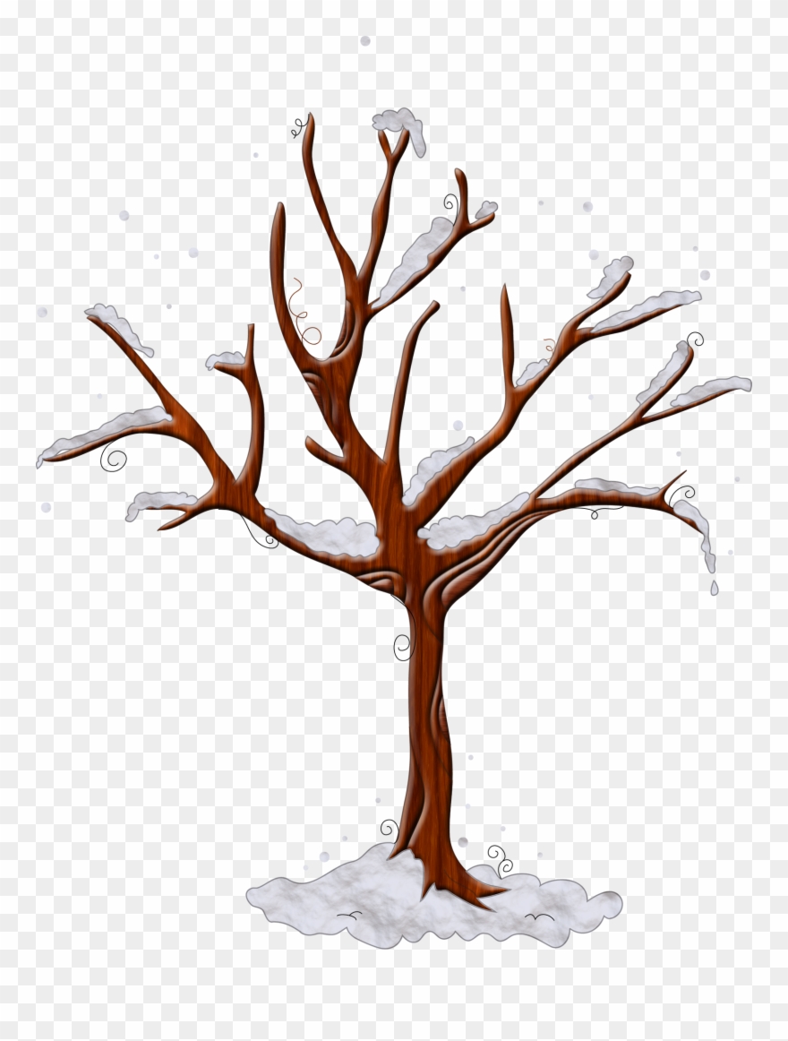 Photo By @duda-cavalcanti Clipart