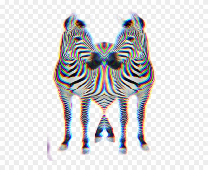 Zebra Print Clip Art - Png Download