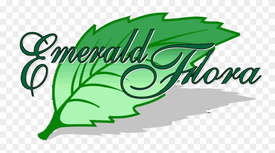 Succulent Collection Clipart