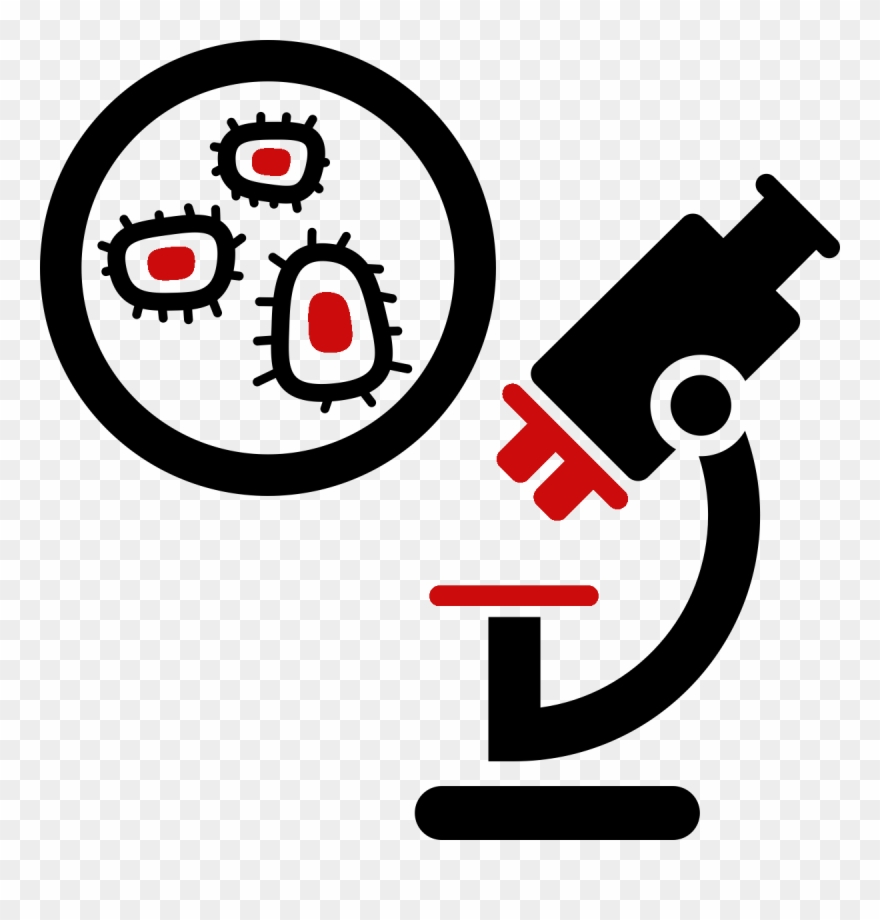 Characterization And Wild Yeasts Clipart