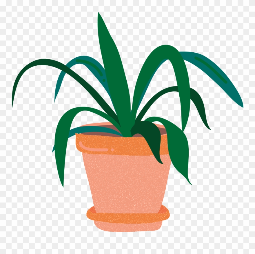 Plants Clipart Plant Life - Png Download