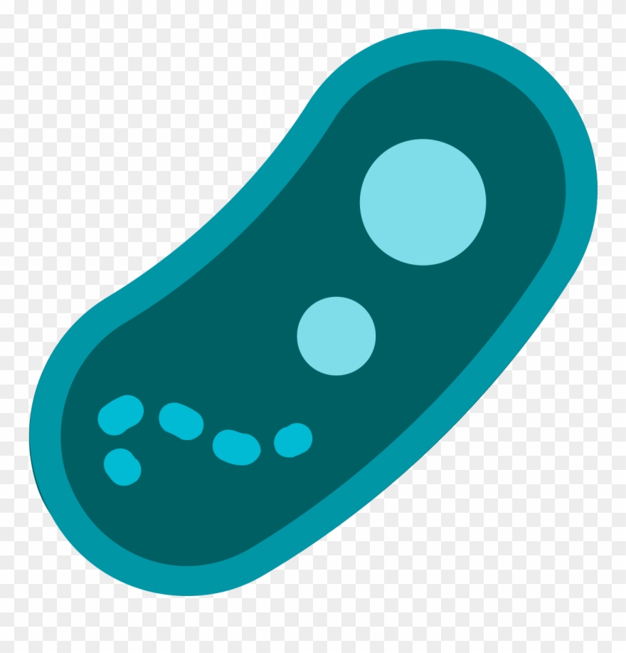 Free Png And Svg Download Terbaru Clipart