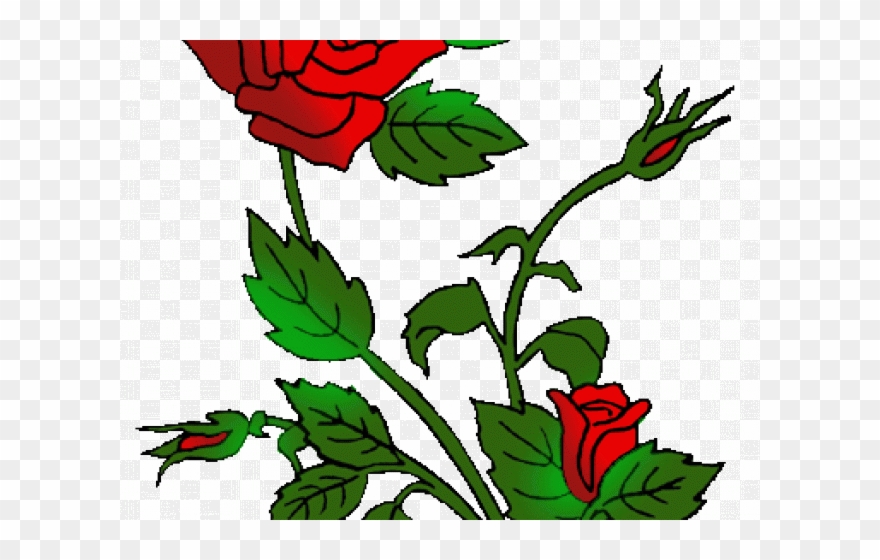 Rose Bush Clipart Rose Plant - Png Download