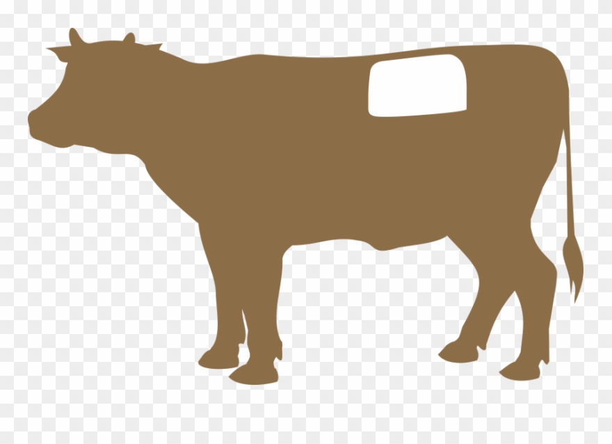 T-bone Steak Clipart