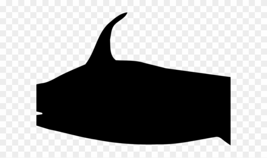 Trout Clipart Silhouette - Png Download