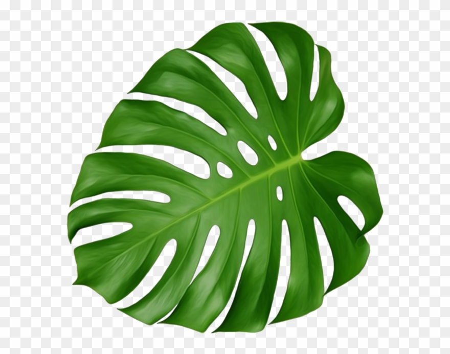 花瓣，陪你做生活的设计师 Clipart
