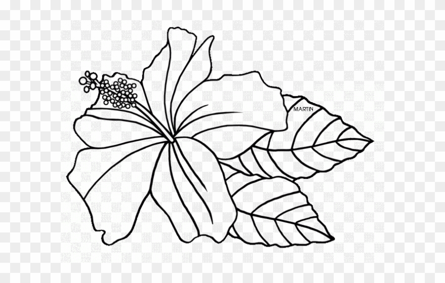 Hibiscus Clipart Hawaiian State - Png Download