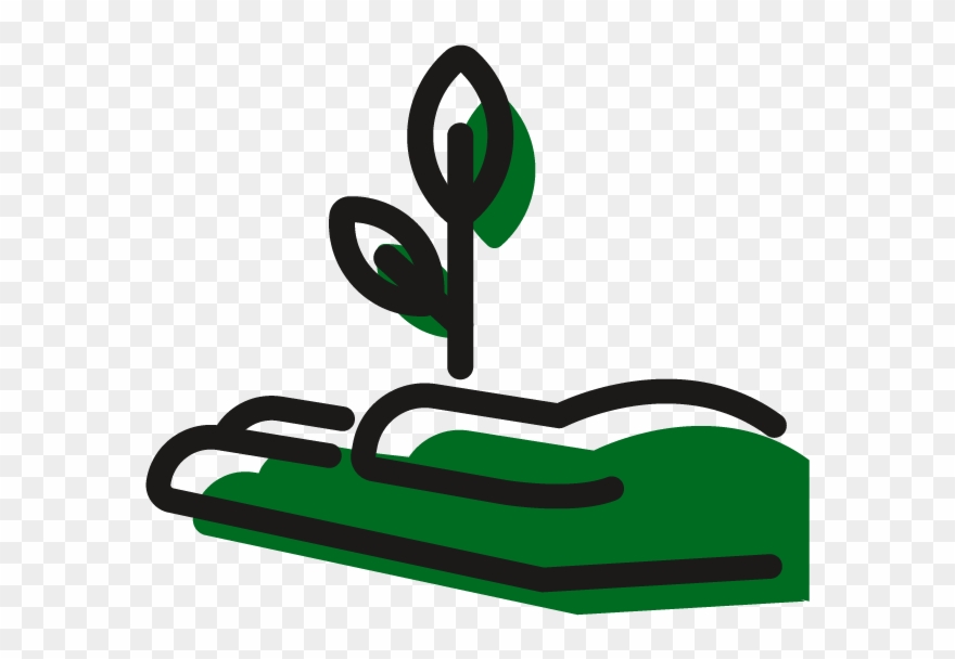Plant Icon Clipart
