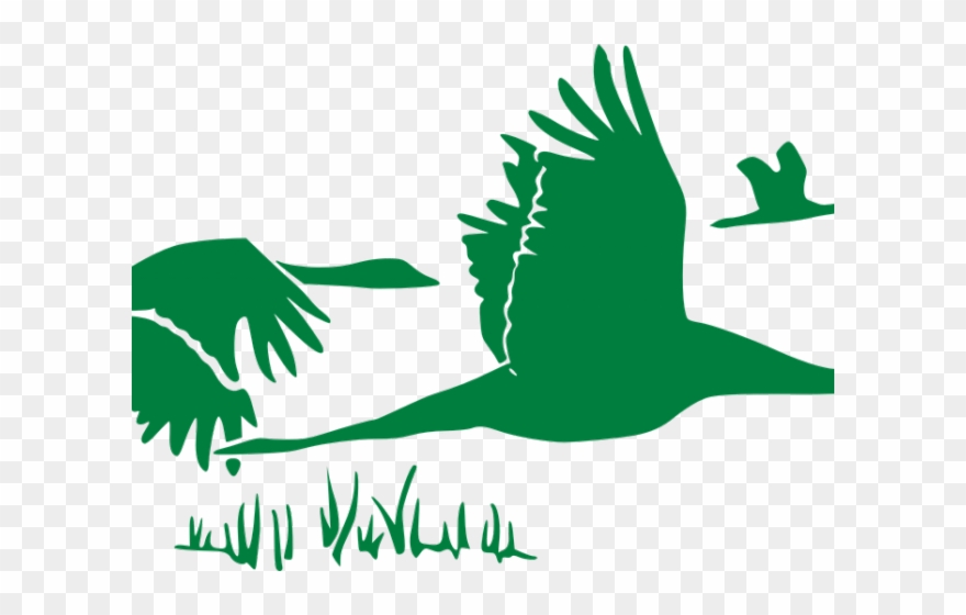 Wildlife Clipart Bird Flock - Png Download