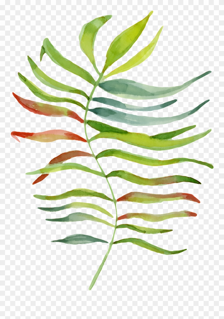 Hand Painted Leaves With Individuality Png Transparent Clipart
