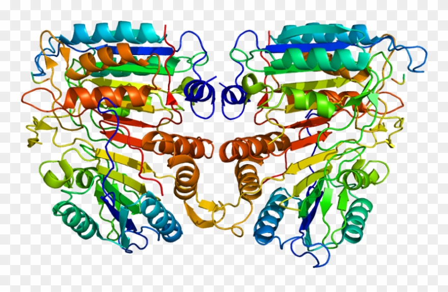 Lymphoma Ribbon Clip Art - Png Download