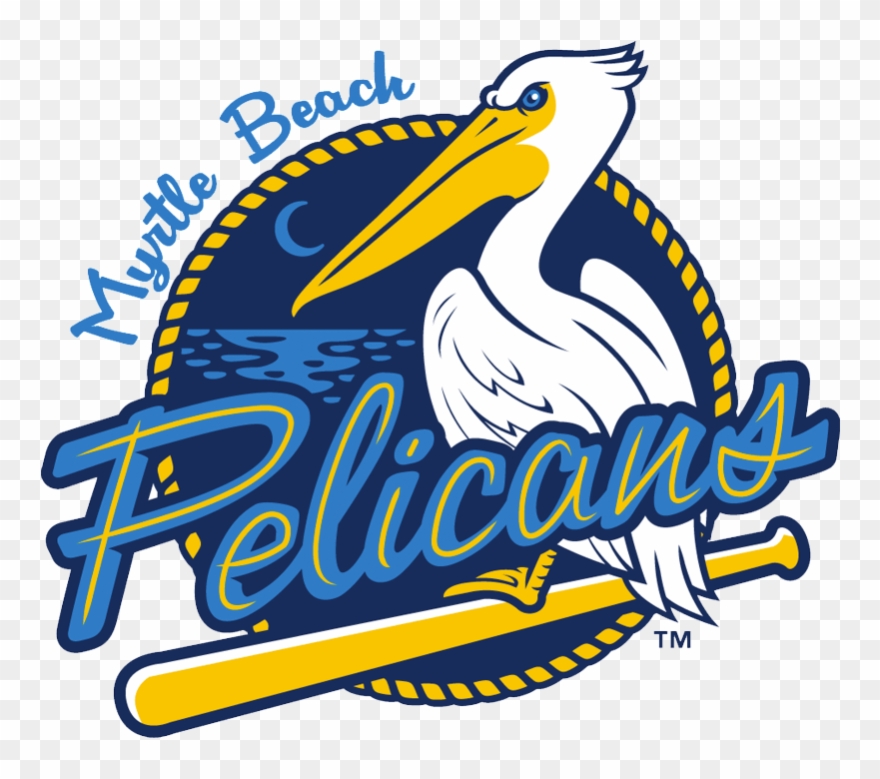 Myrtle Beach Pelicans Clipart