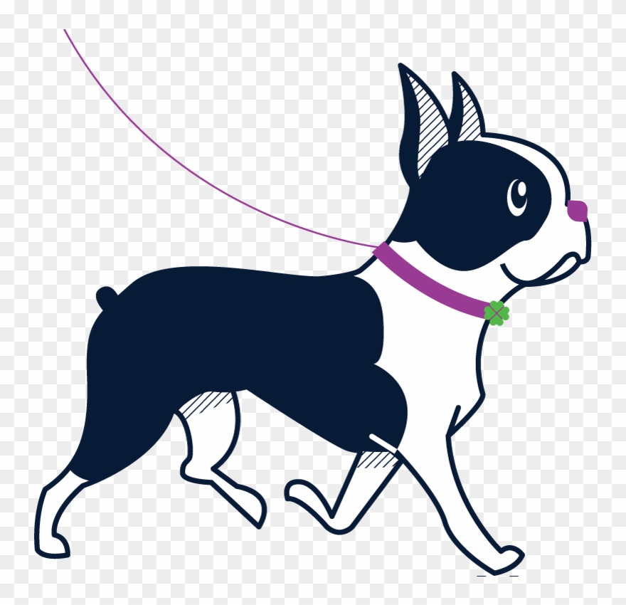 Clover Bostonterrier Clipart